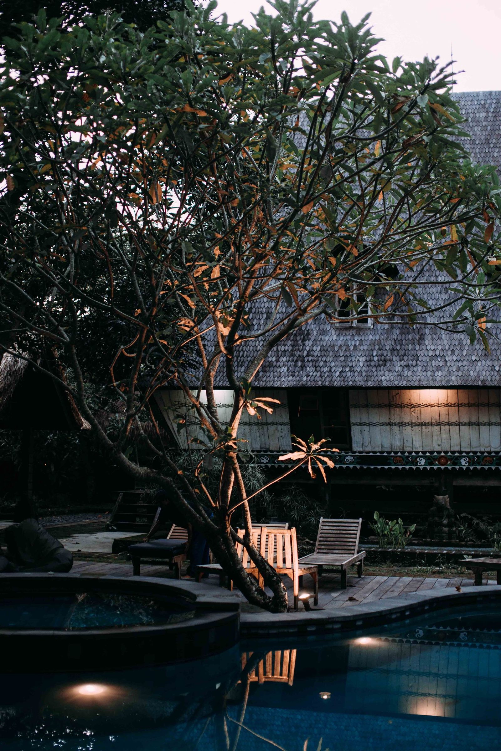 Lounge chairs and landscape lighting at dusk — design inspiration